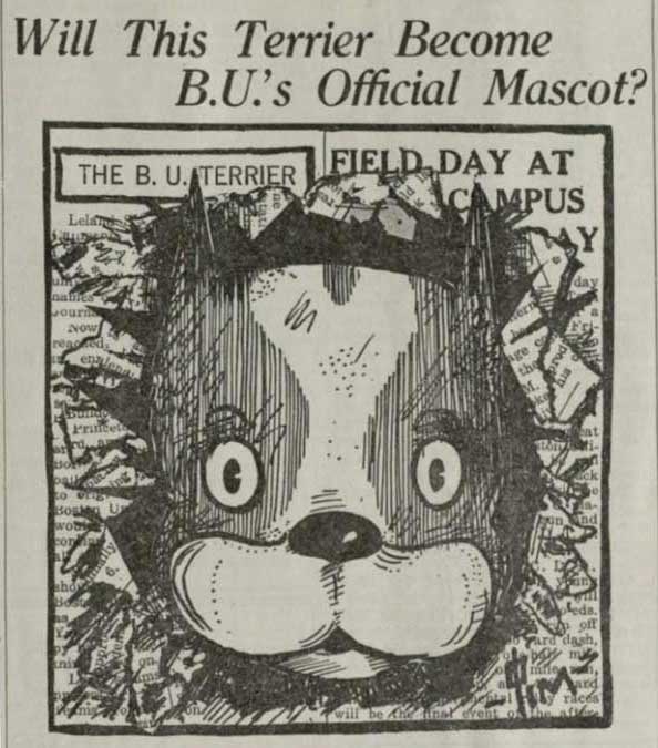 Newspaper extract from the Boston University mascot hostory