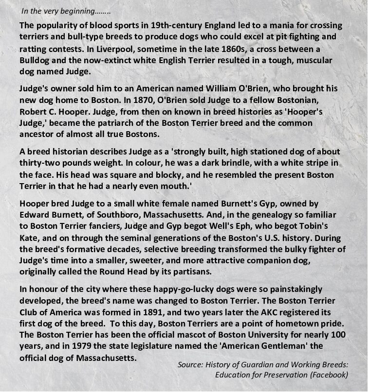 historypage