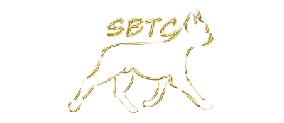 Southern Boston Terrier Club logo